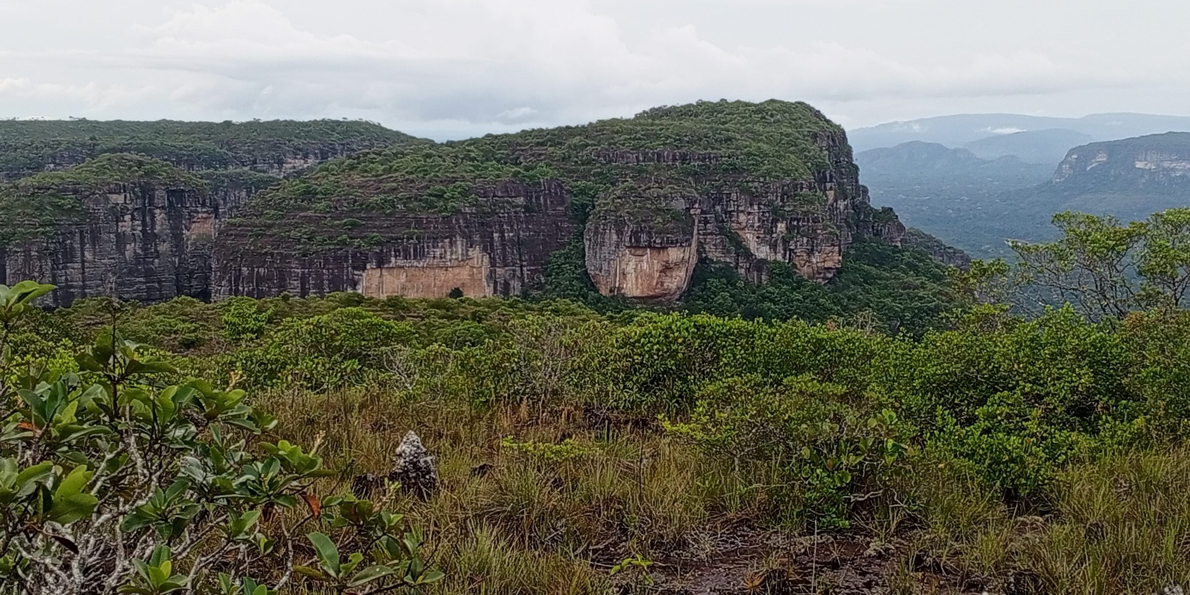 Sandstone tepui cliffs above the forest of the Serranía de Chiribiquete, Colombia, seen from the IoF pilot site