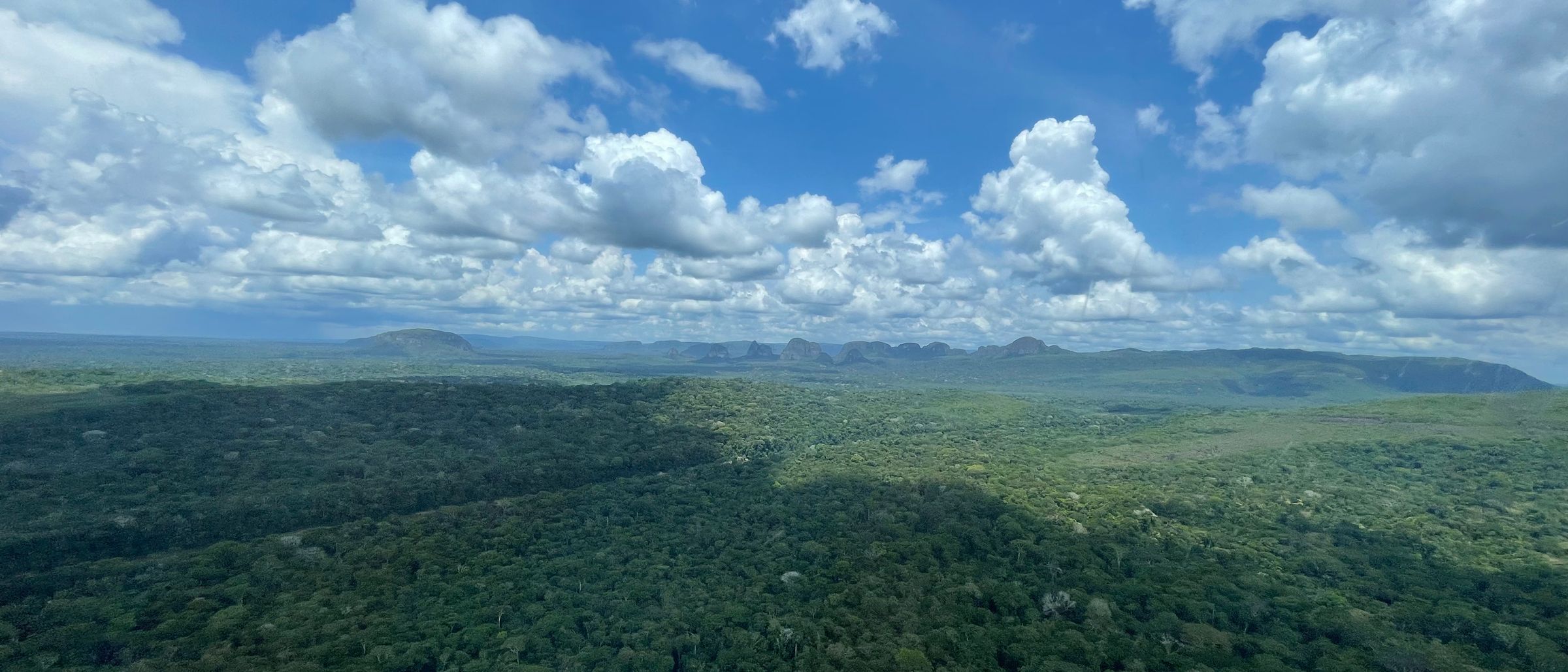 Expansive rainforest canopy in Chiribiquete